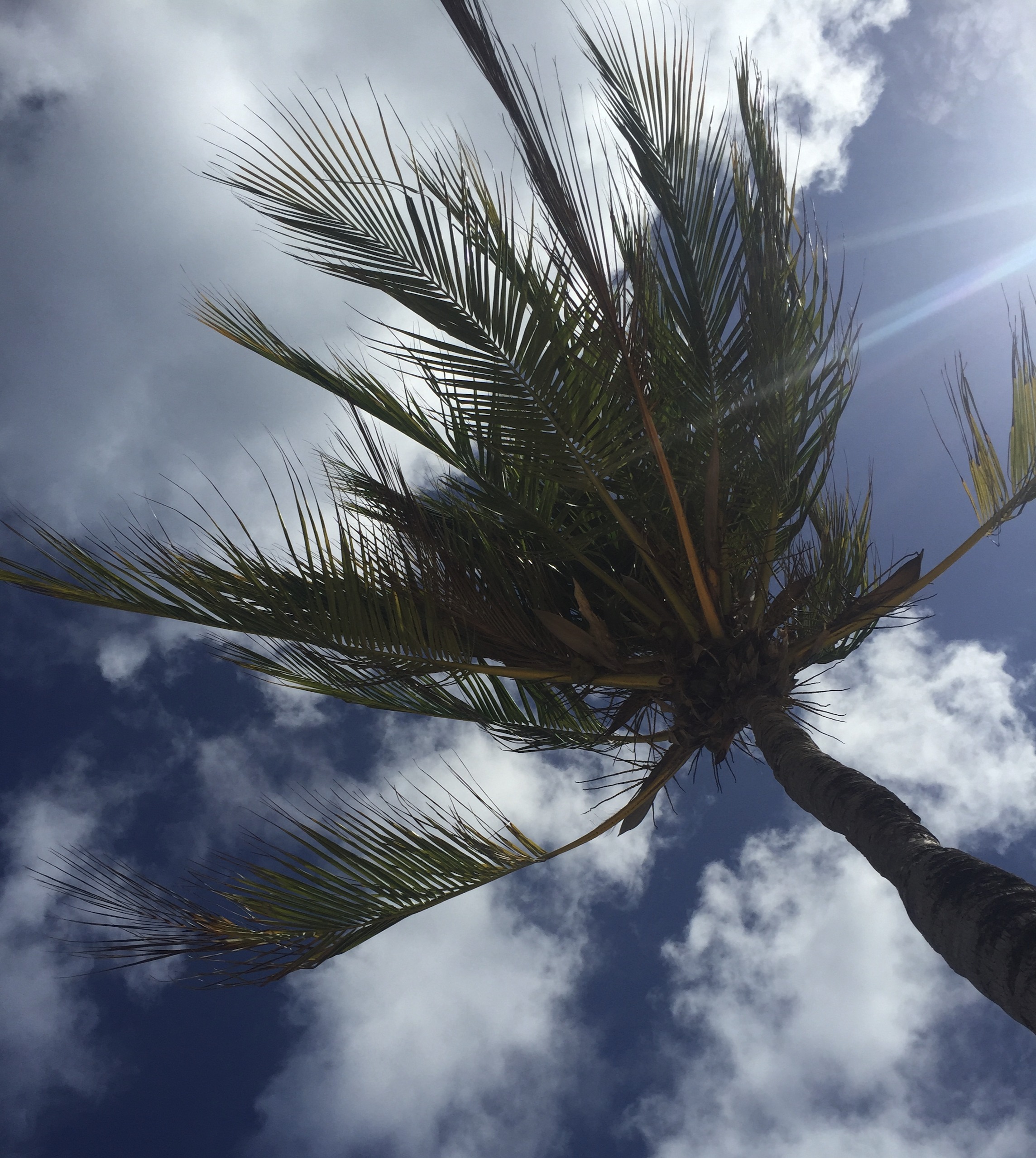 Roger Hunt: Sandals and Beaches Travel Agent Specialist